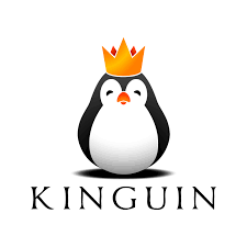 Get cashback from our partner Kinguin