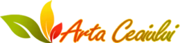 Get cashback from our partner artaceaiului.ro