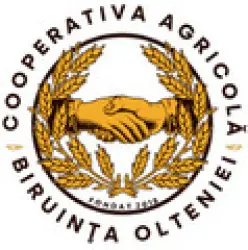 Get cashback from our partner biruintaolteniei